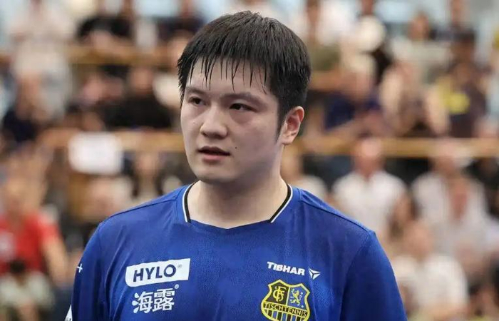 樊振东转会德甲豪门杜塞尔多夫寻求职业新体验