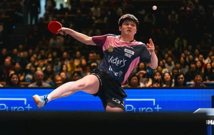 樊振东转会德甲豪门杜塞尔多夫寻求职业新体验